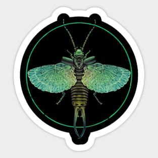 Earwig Sticker